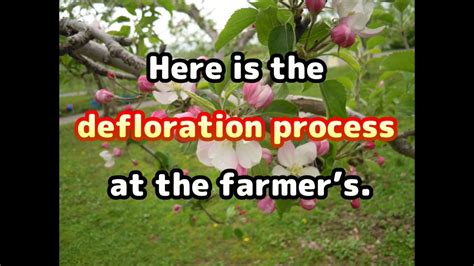 defloration|DEFLOWER .